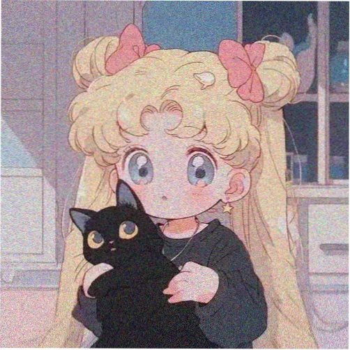 黑猫夜行者